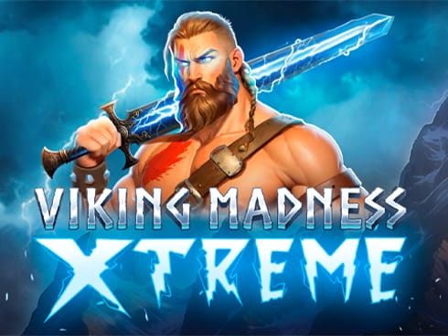 Viking Madness Xtreme screenshot