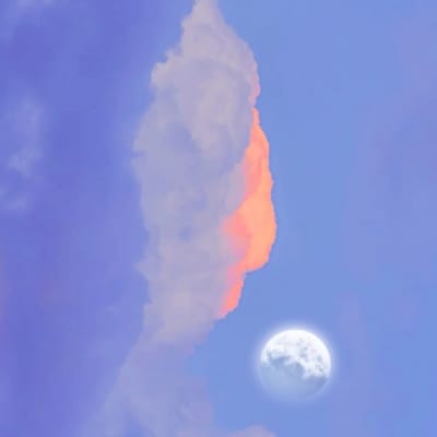 علی رضا avatar